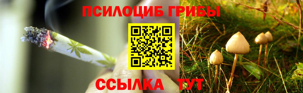 Псилоцибиновые грибы Psilocybine cubensis  Псилоцибиновые грибы GOLDEN TEACHER  Озёрск  Вход с VPN 
